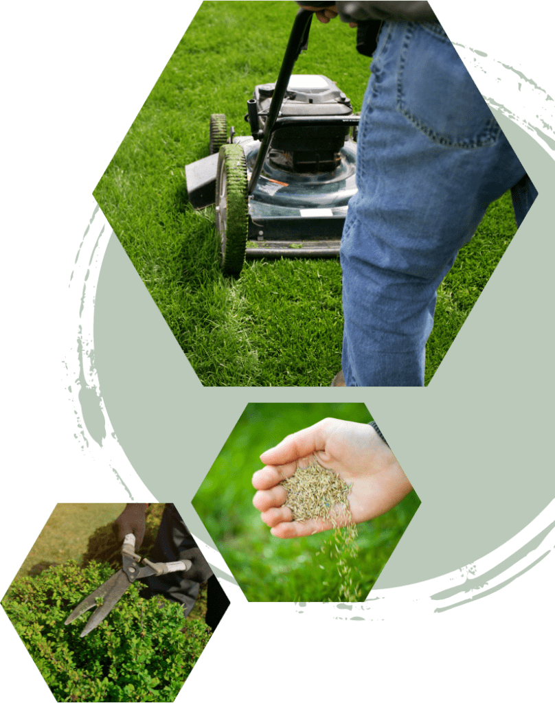 Lawn Care Business Software